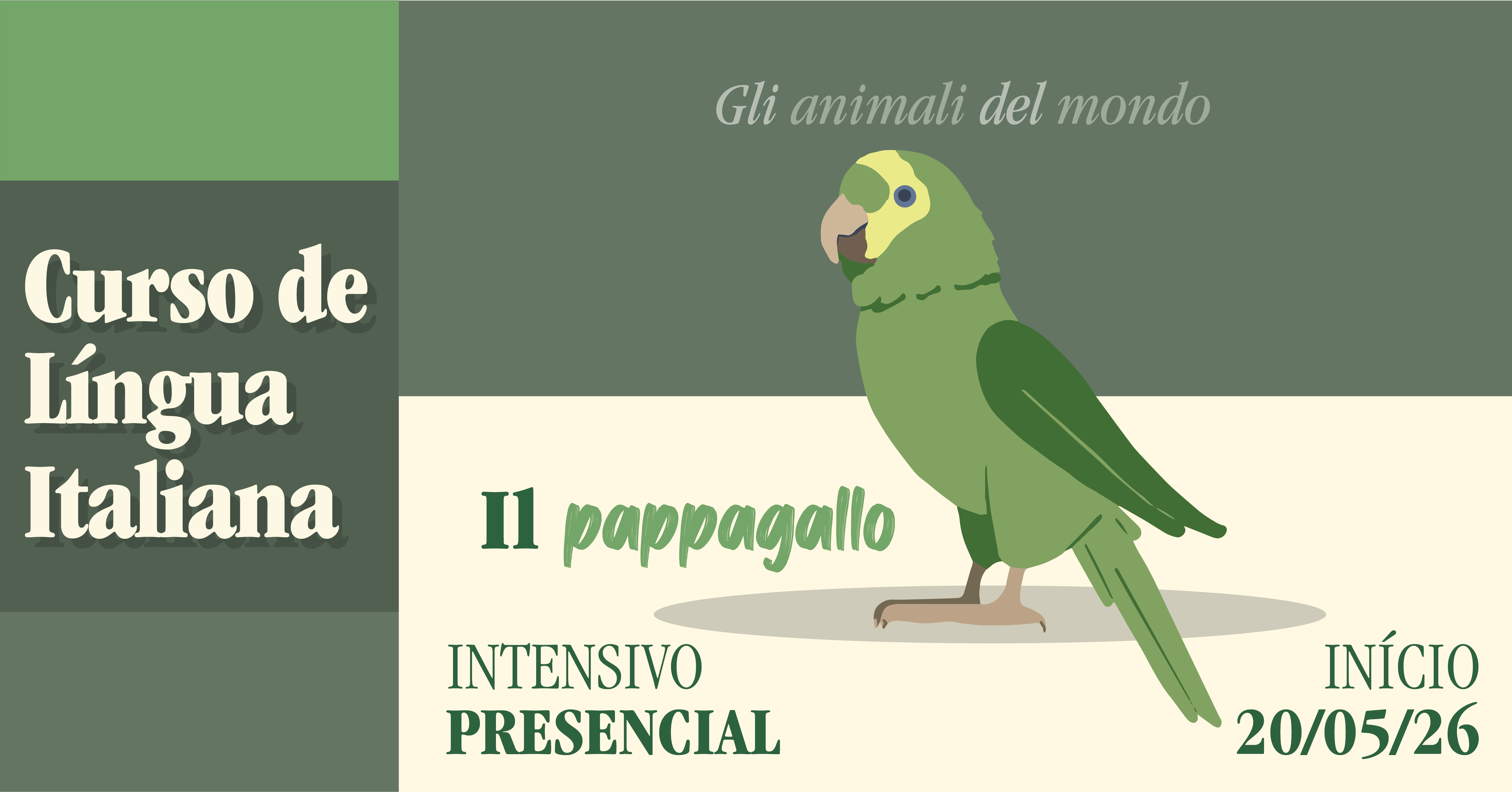 Promoção de desconto para iniciantes